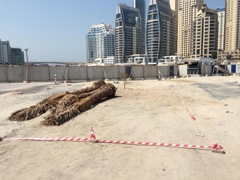 Stella Maris - Construction