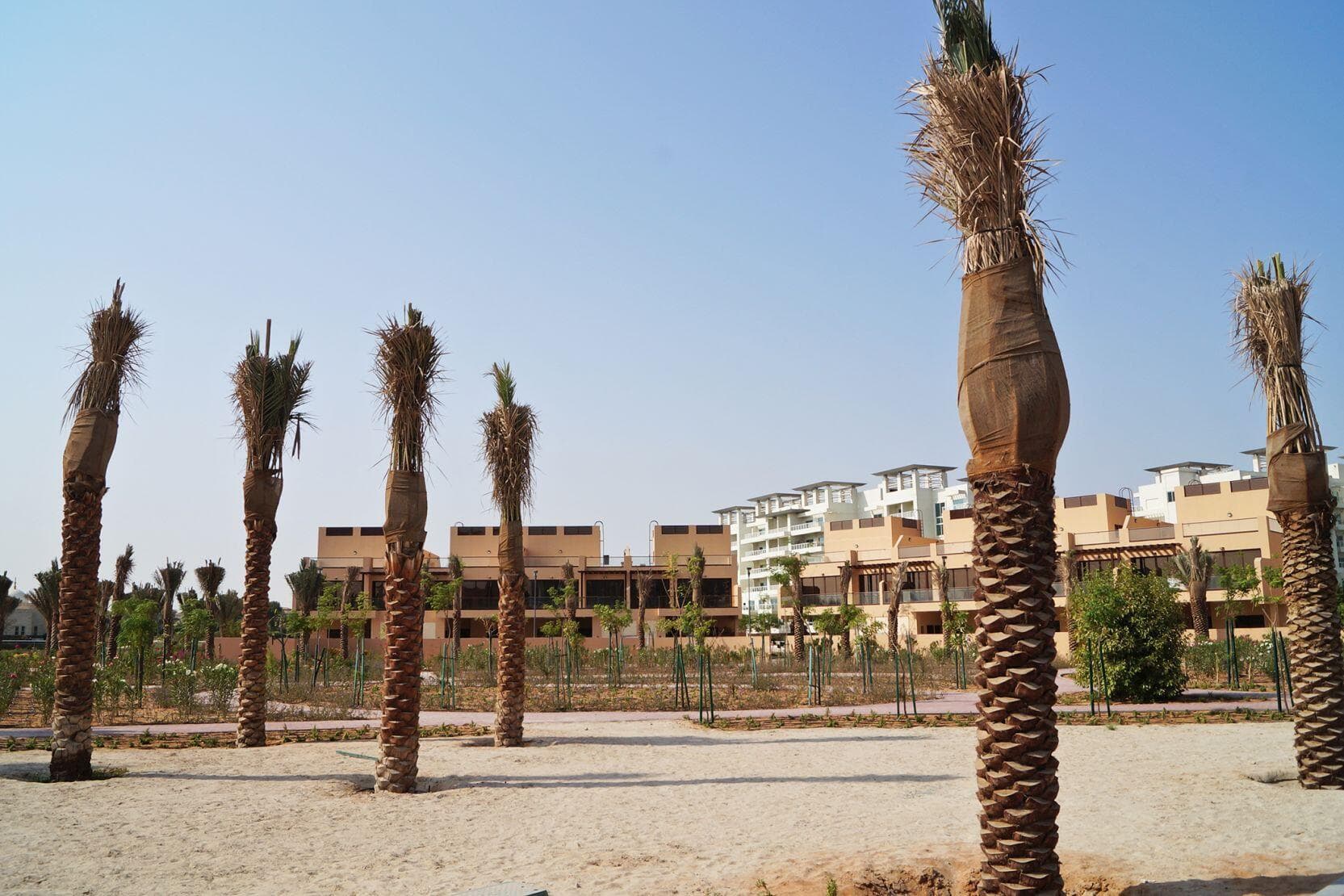 Townhouses At Jumeirah Islands - Renders