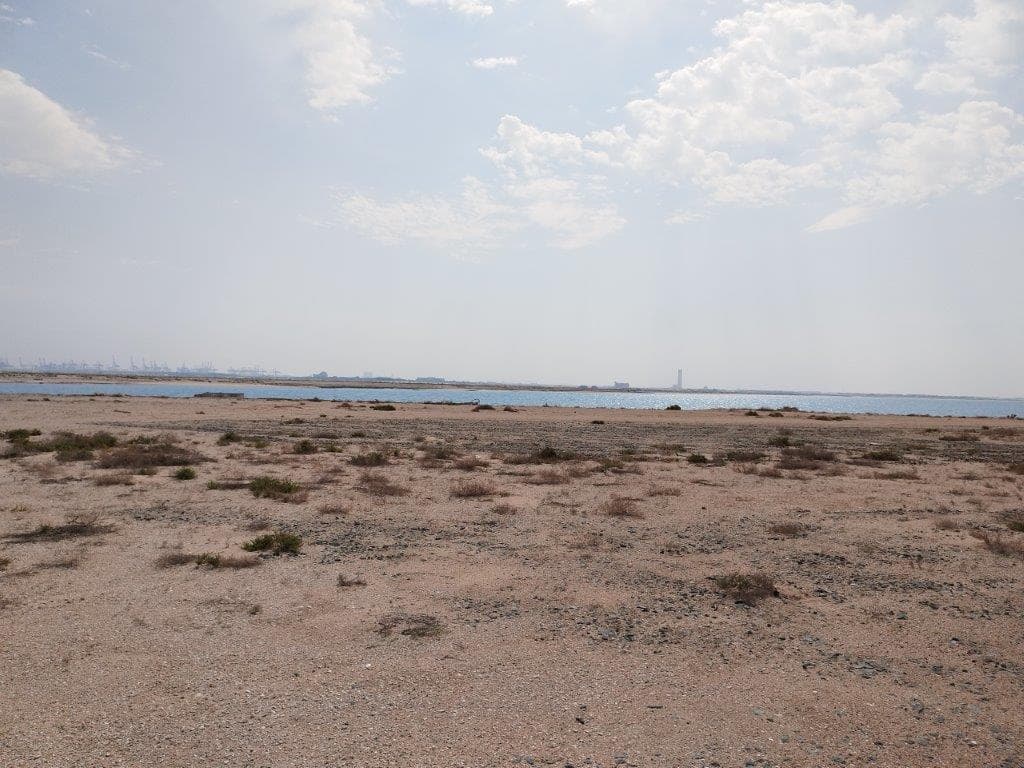 Palm Jebel Ali - Construction