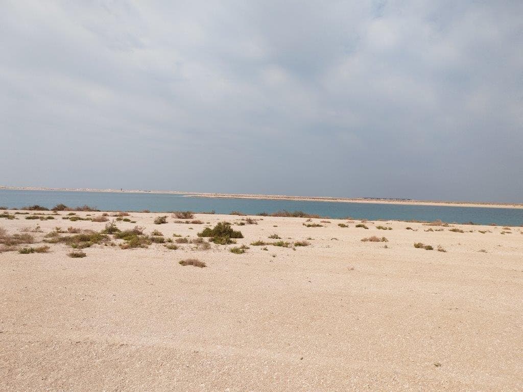 Palm Jebel Ali - Construction