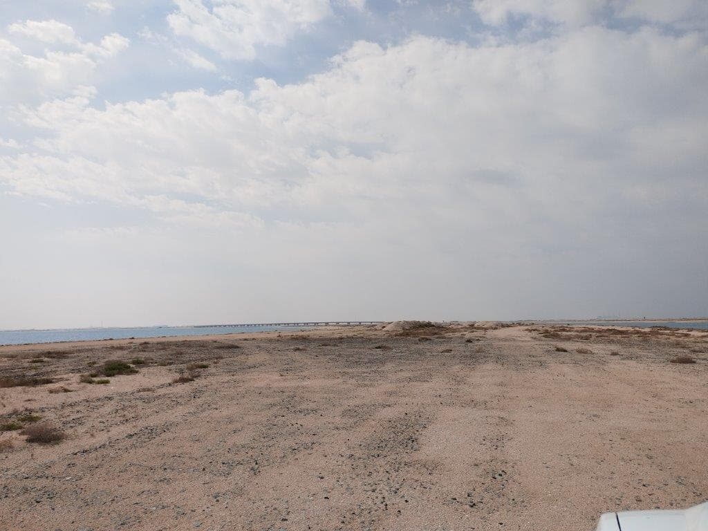 Palm Jebel Ali - Construction