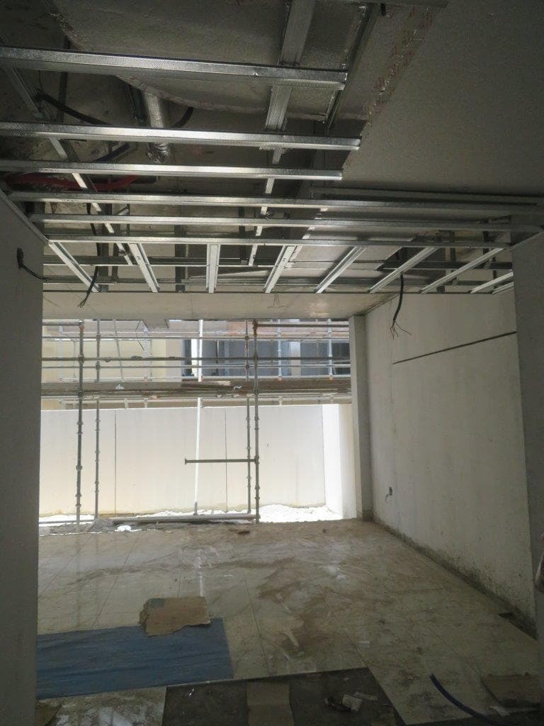 Damac Hills 2 Camelia - Construction