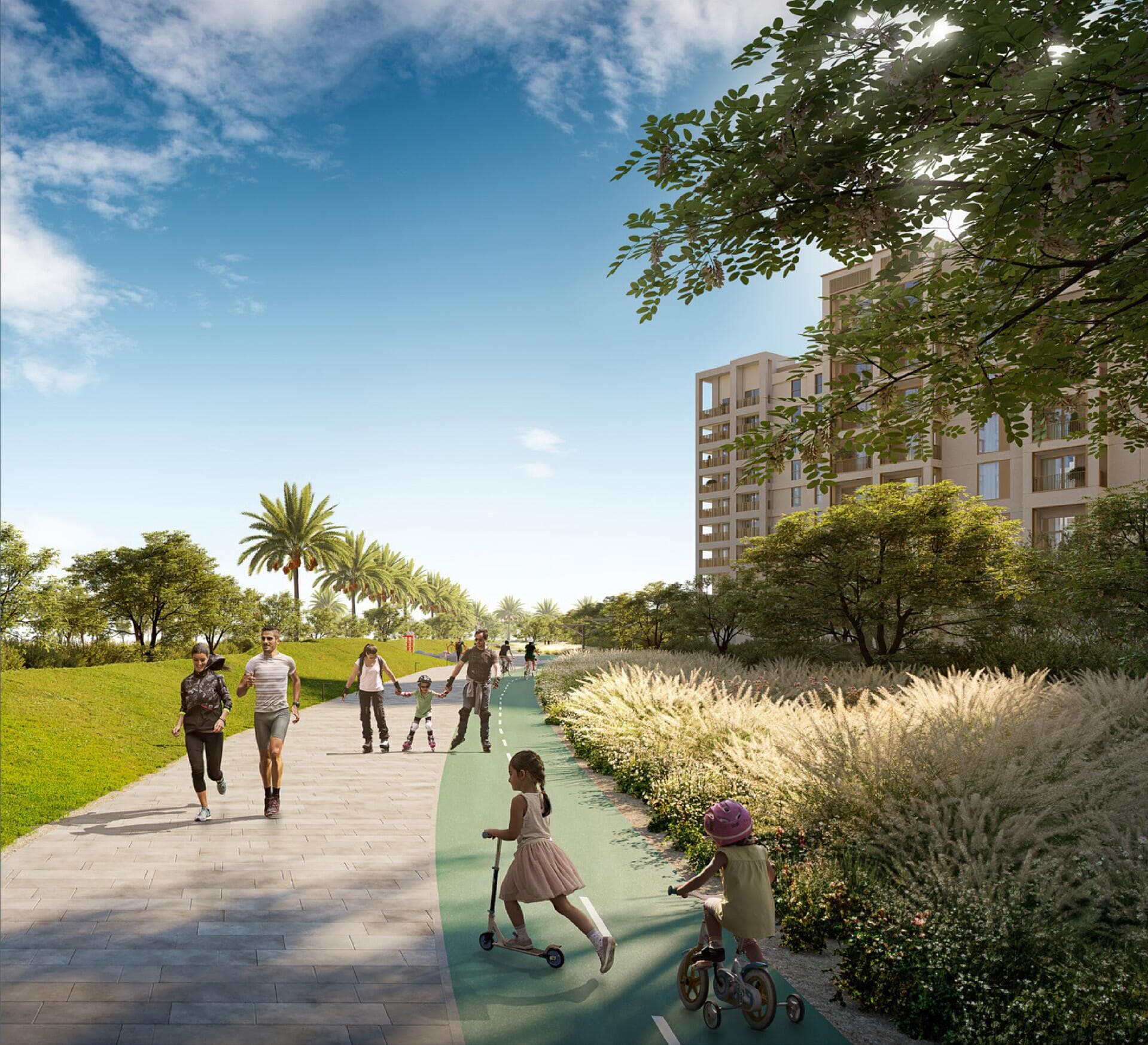 Mangrove - Infrastructure