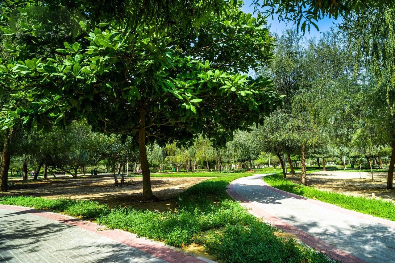 Emirates Garden 1 - Gardenia - Infrastructure