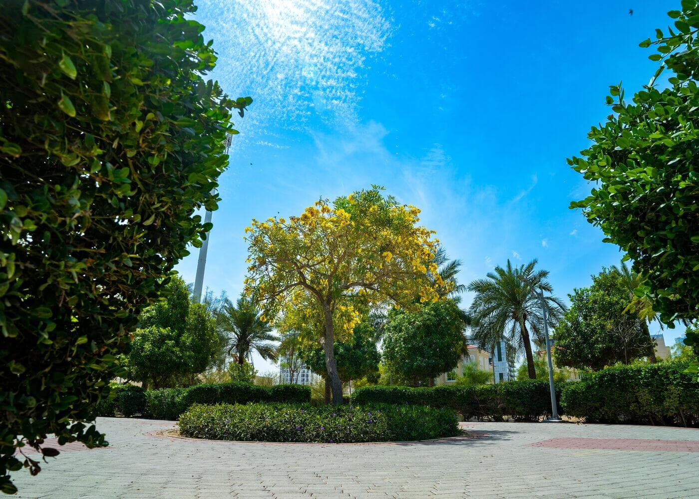 Emirates Garden 1 - Gardenia - Infrastructure