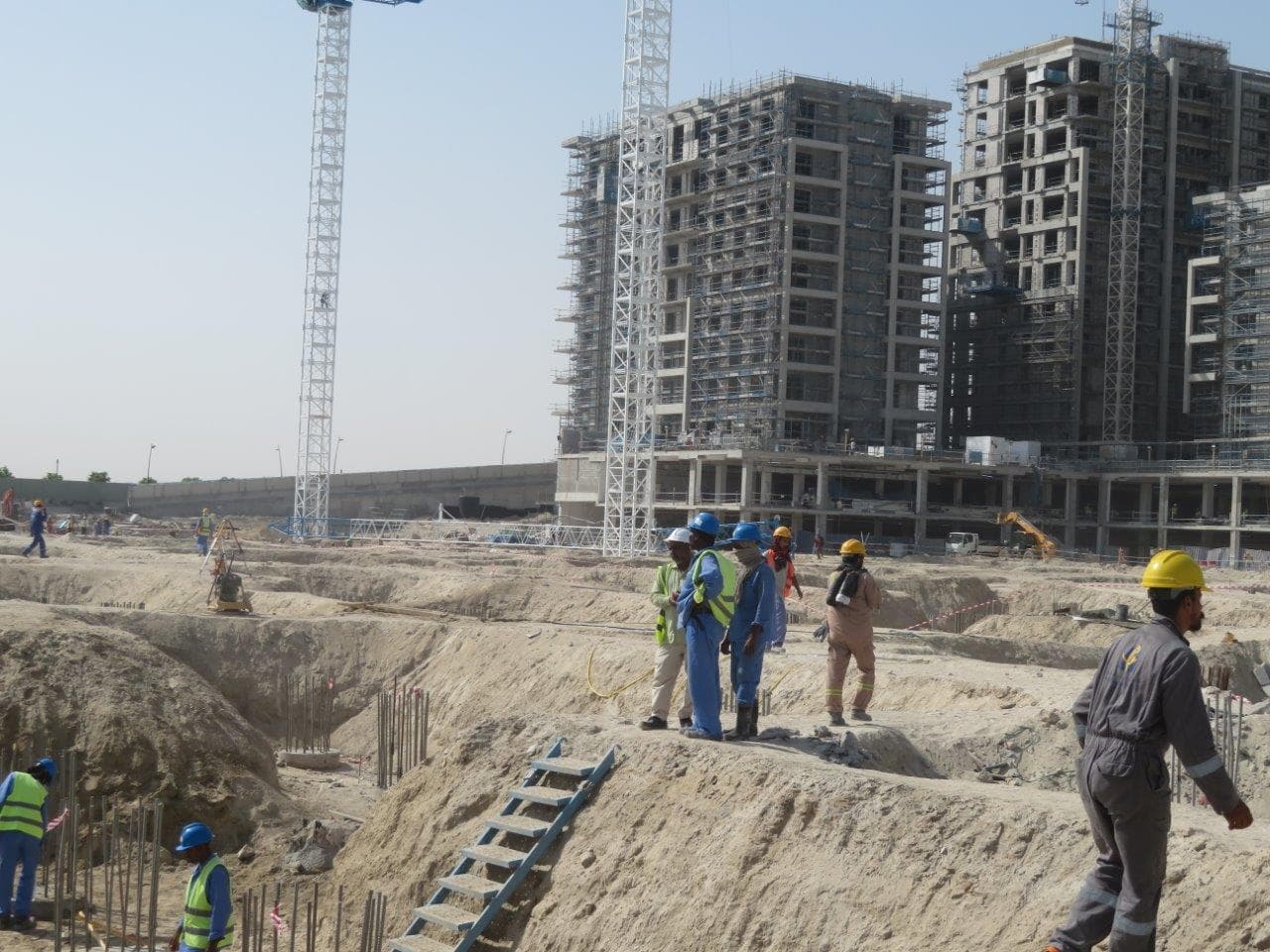 Mangrove - Construction