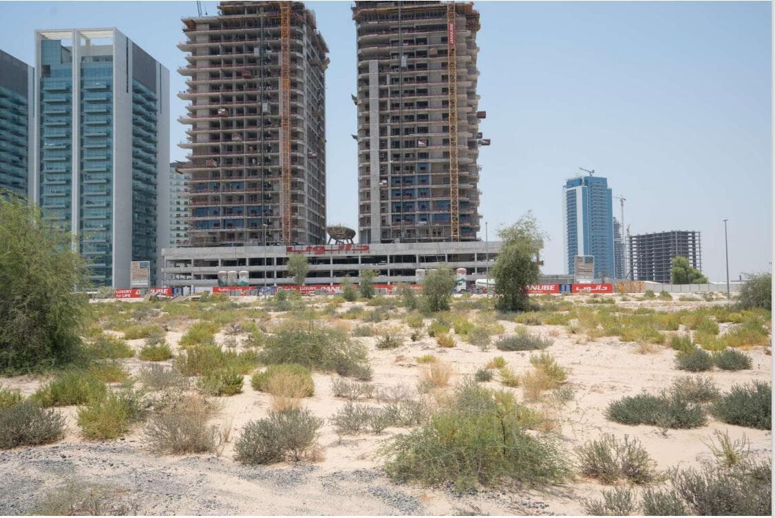 Butterfly Towers - Construction