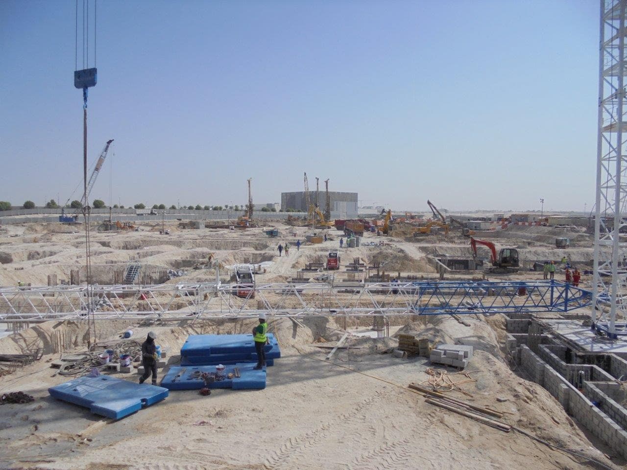 Mangrove - Construction