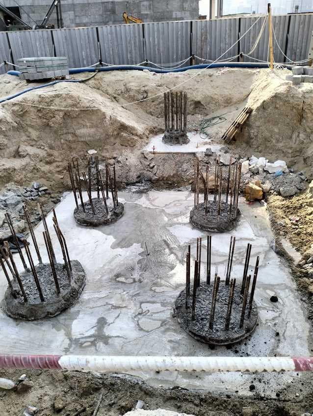 Eywa The Tree of Life - Construction