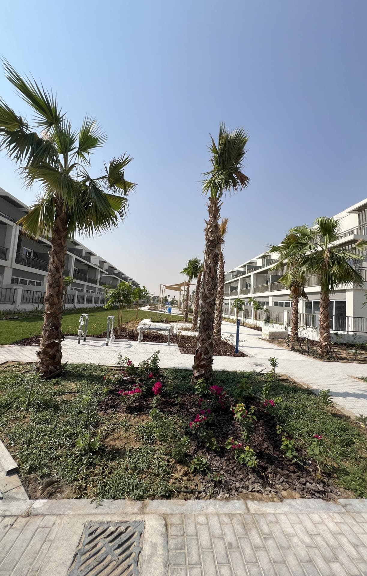 Damac Hills 2 Camelia - Construction