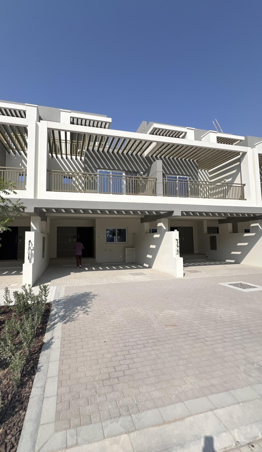 Damac Hills 2 Camelia - Construction