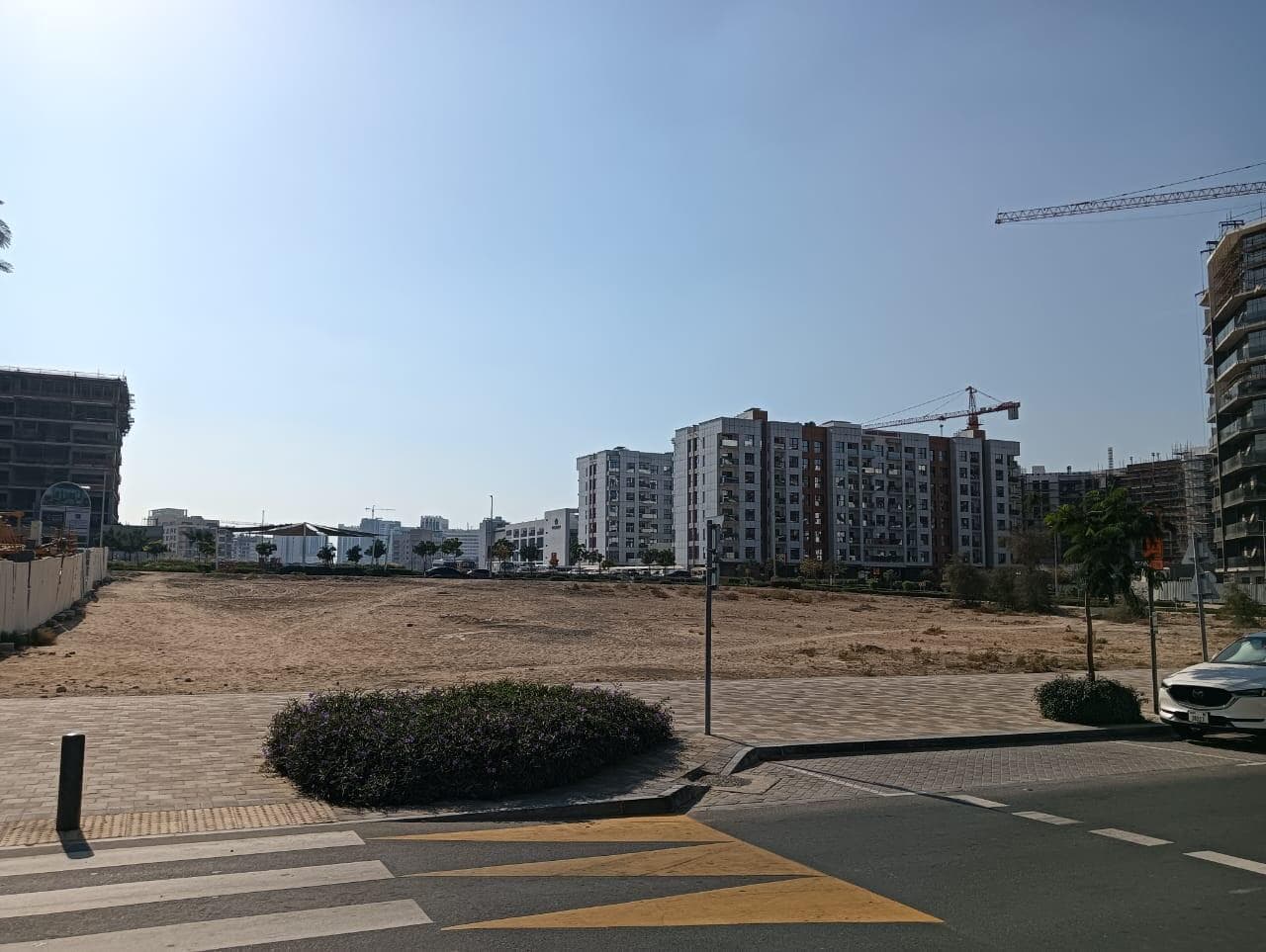 Floarea Grande - Construction