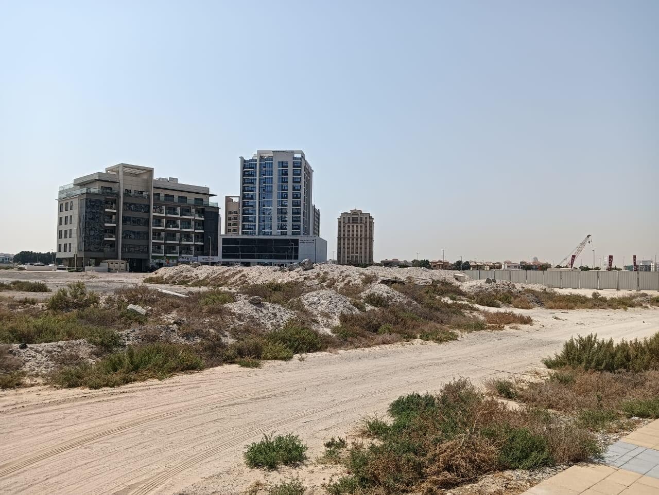 Floarea Oasis - Construction