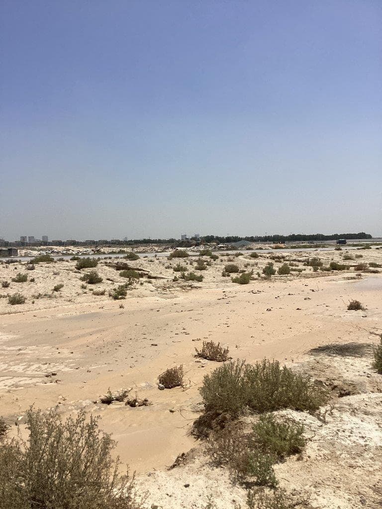 Nad Al Sheba Gardens Phase 7 - Construction