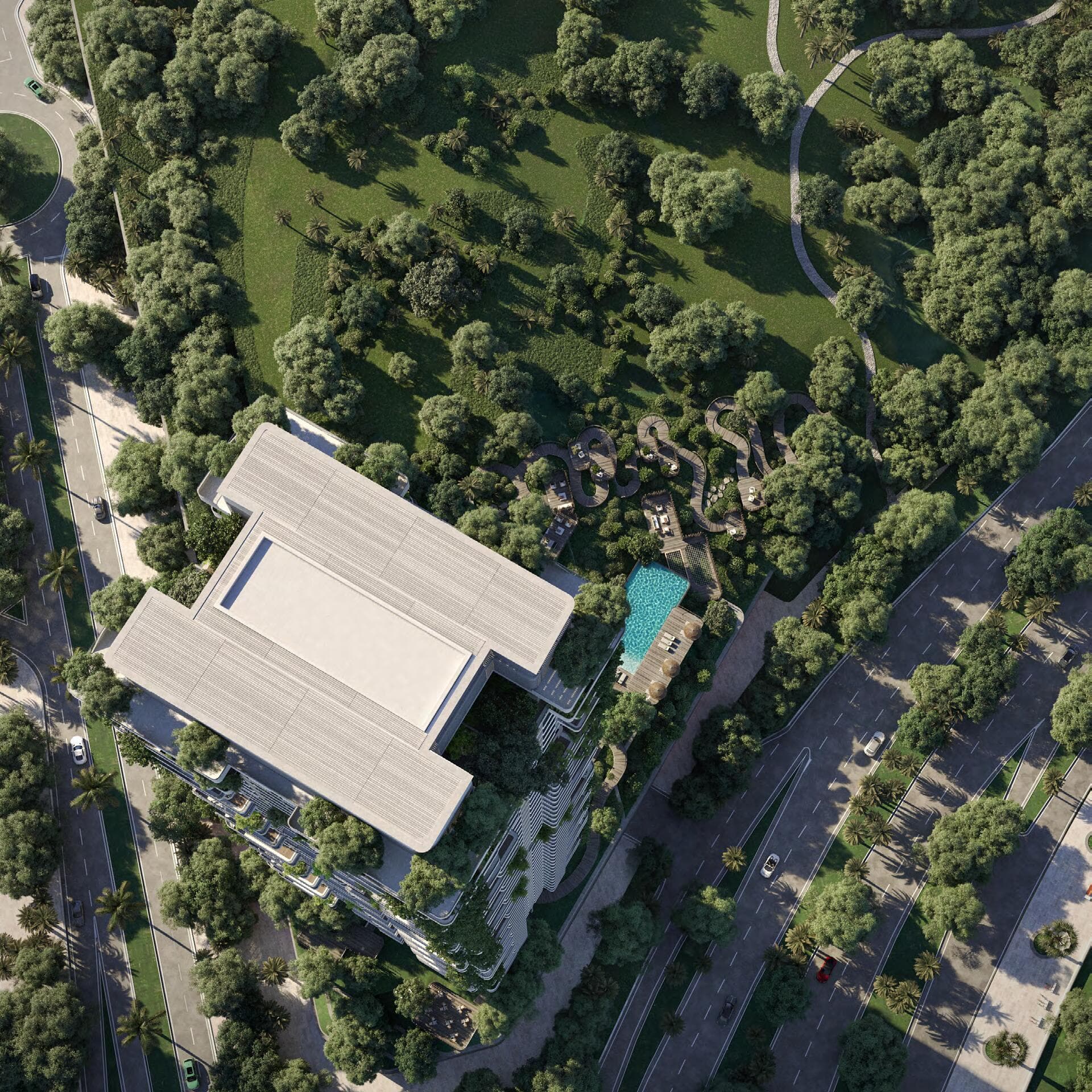 Talea - Photos