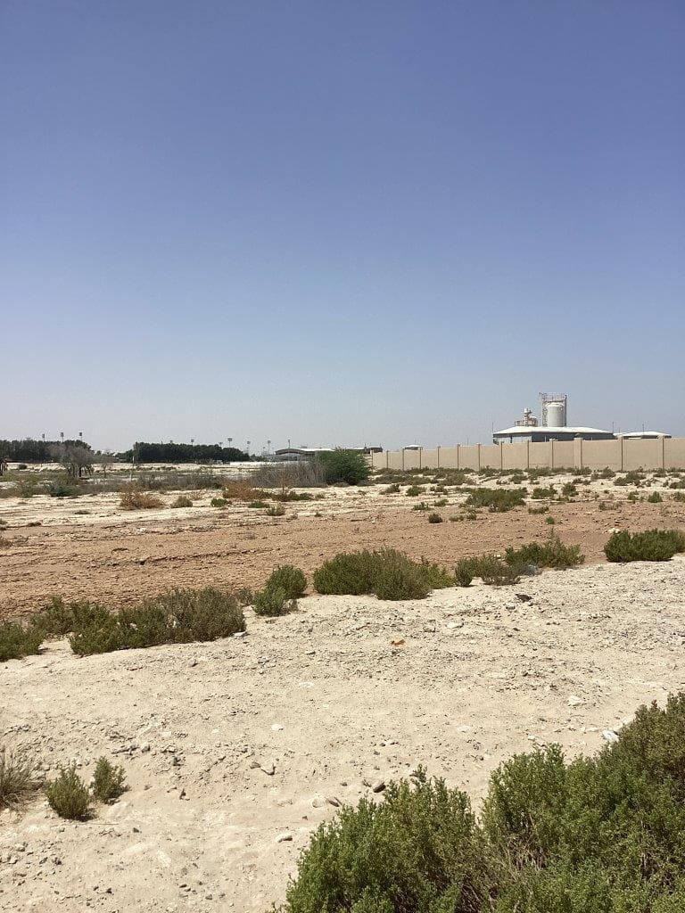 Nad Al Sheba Gardens Phase 7 - Construction