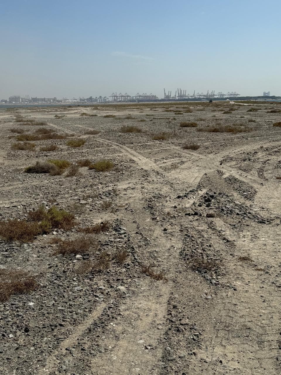 Palm Jebel Ali — The Fronds B-C - Construction