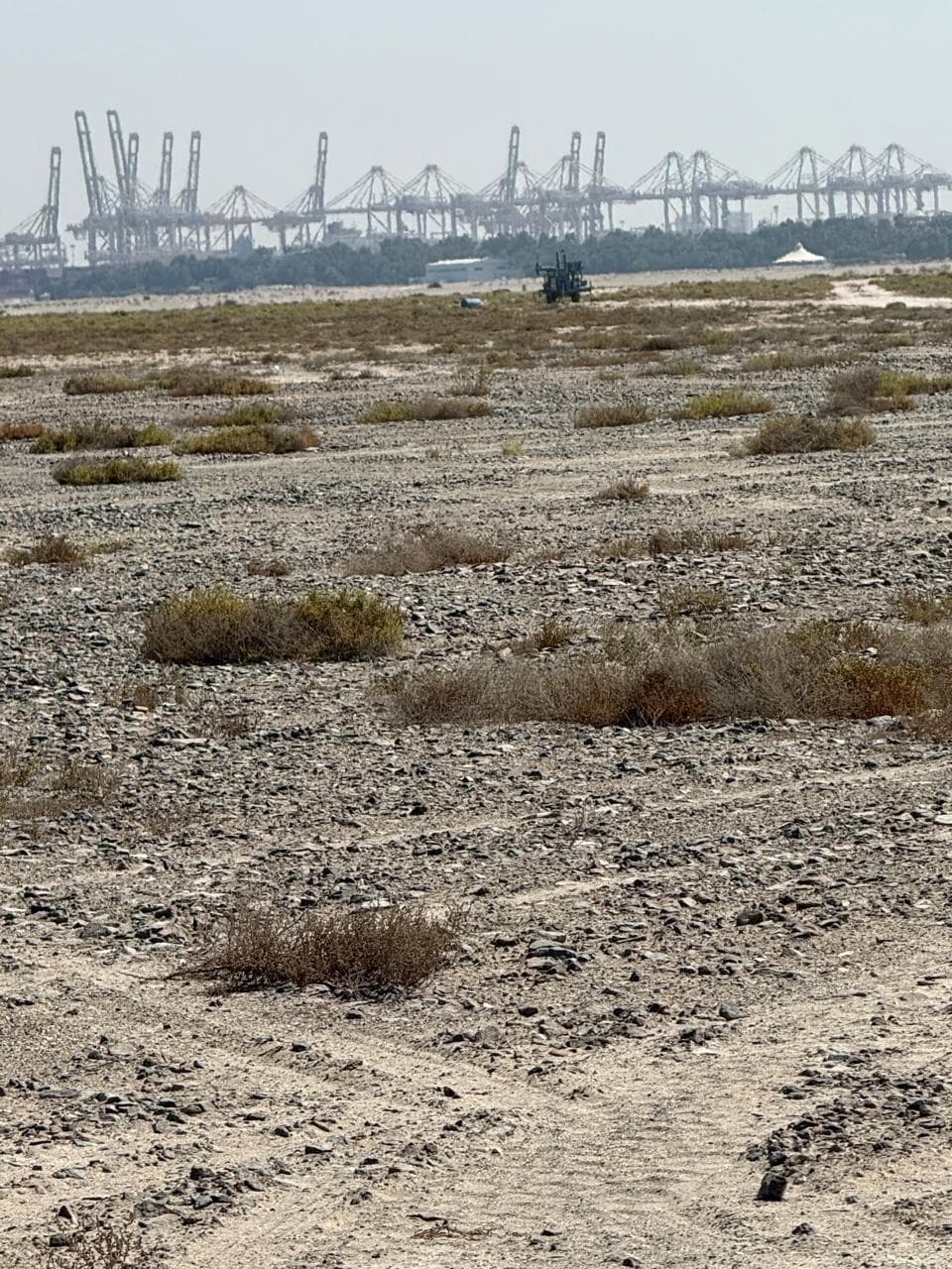 Palm Jebel Ali — The Fronds B-C - Construction