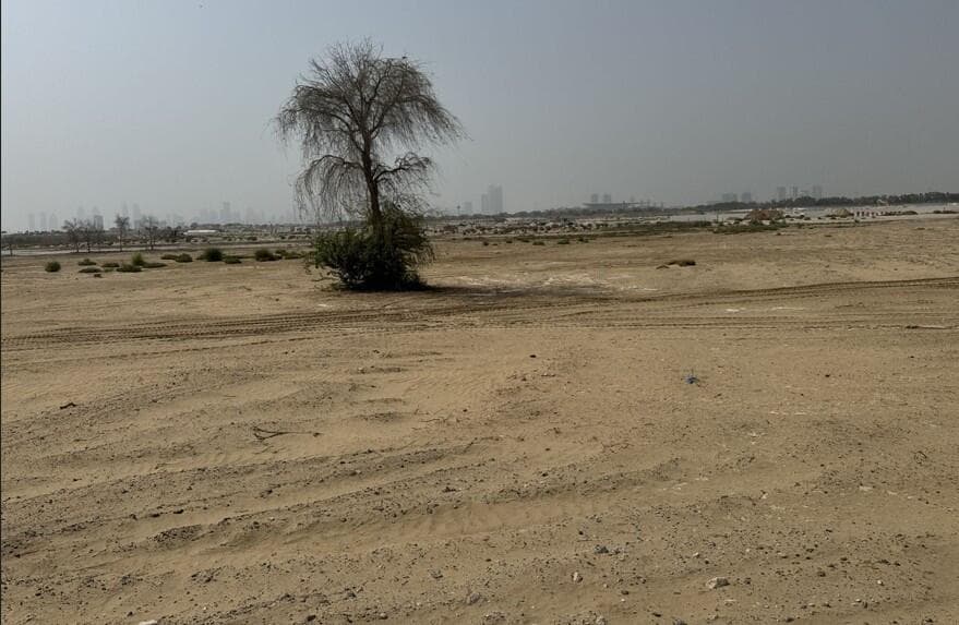 Nad Al Sheba Gardens Phase 9 - Construction