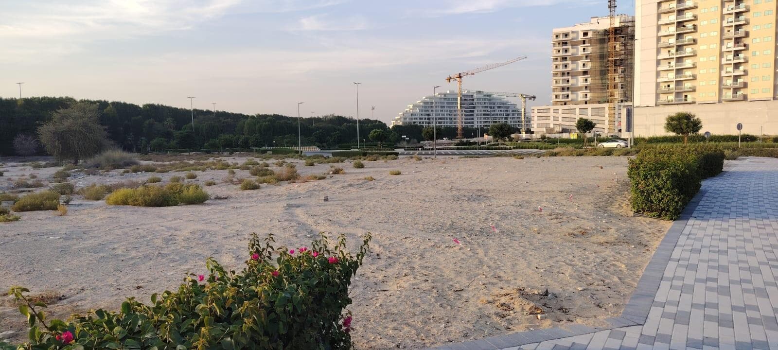 Divine Al Barari - Construction