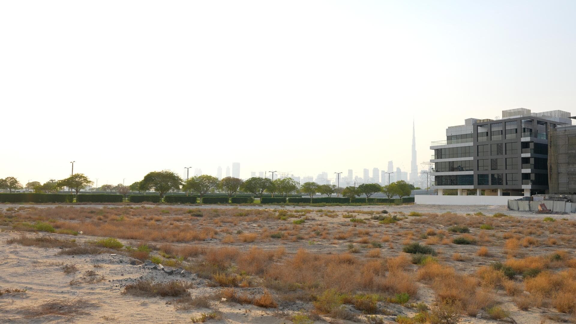 Saddlewood Park - Construction