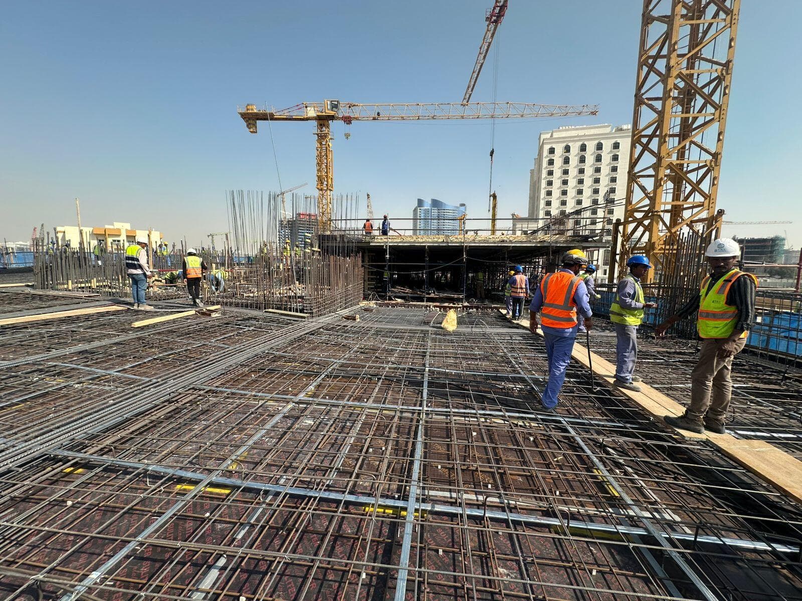 Cove Edition III - Construction