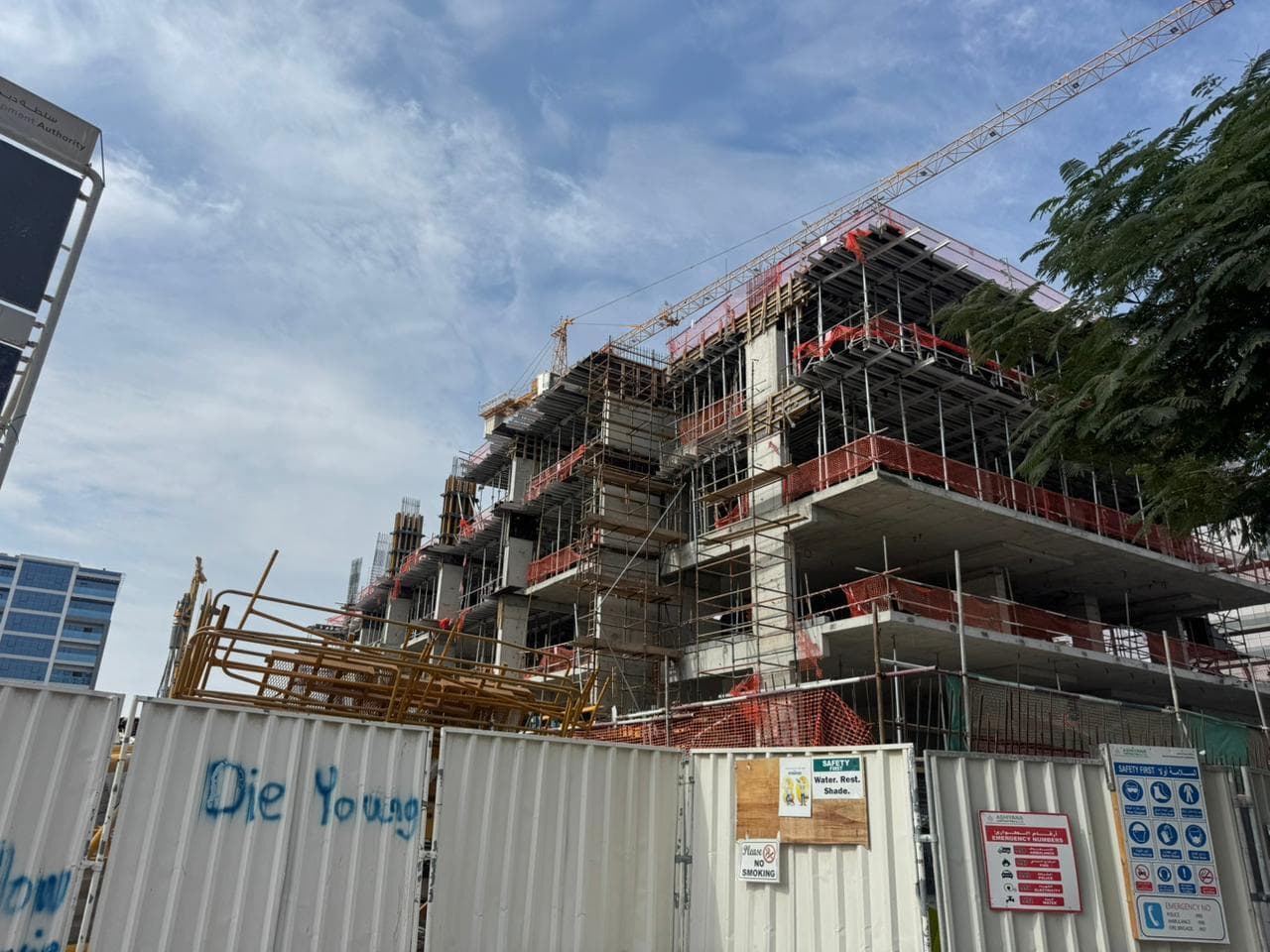Floarea Grande - Construction