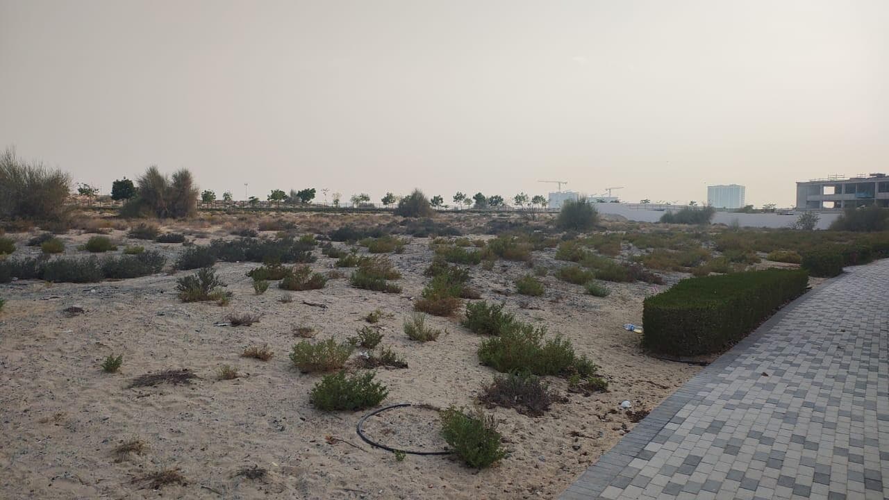 Wellness Estate - Construction