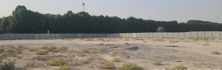 Barari Palace - Construction