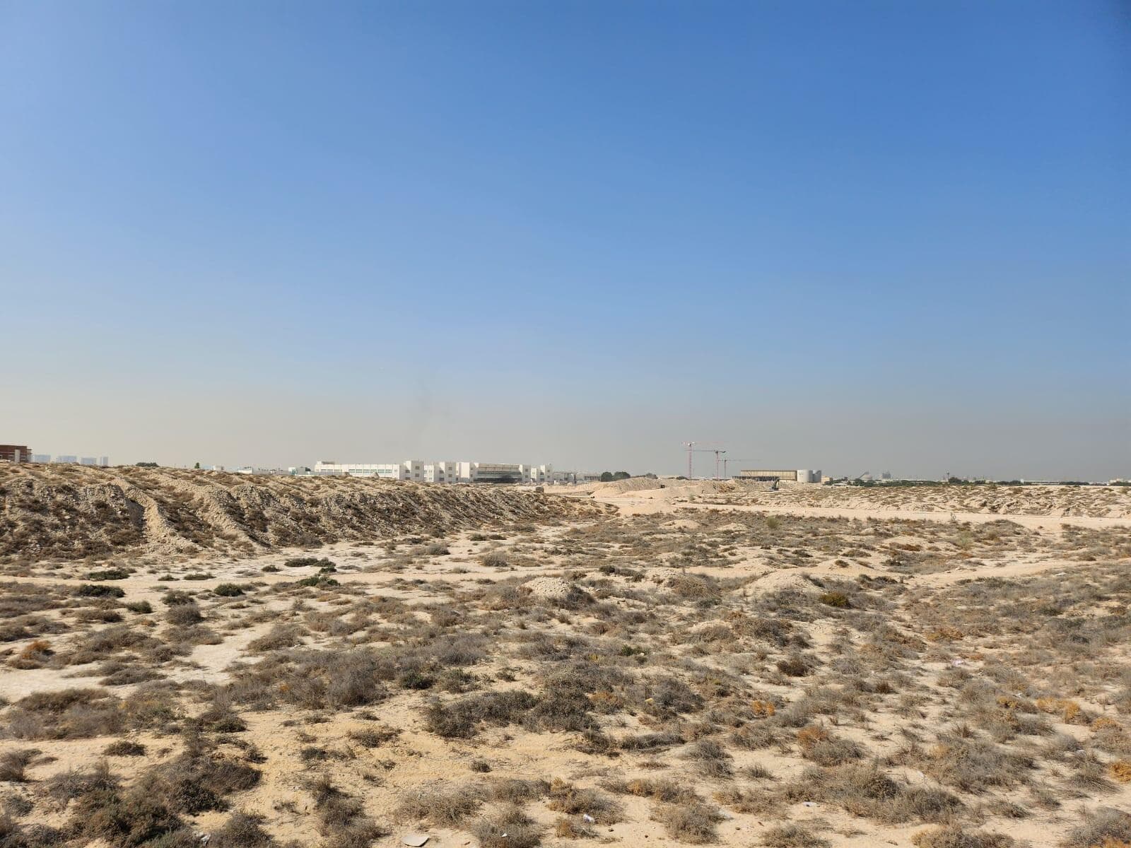 Verdana Three - Construction