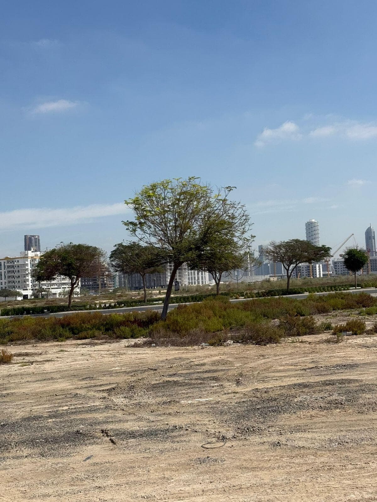 Sera Gardens by Vision - Construction