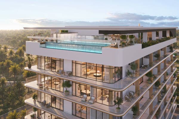 Celeste Heights